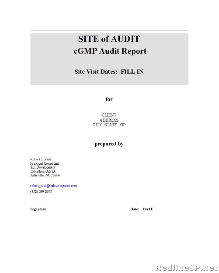 55 Amazing Audit Report Template – RedlineSP