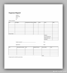 10+ Powerful Blank Expense Report – RedlineSP