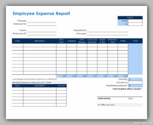 7 Best Employee Expense Report - Redlinesp