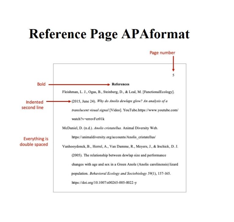 30 Free Reference Page APA MLA Format RedlineSP