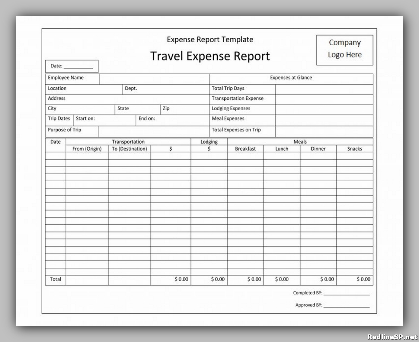 Travel And Expense Template