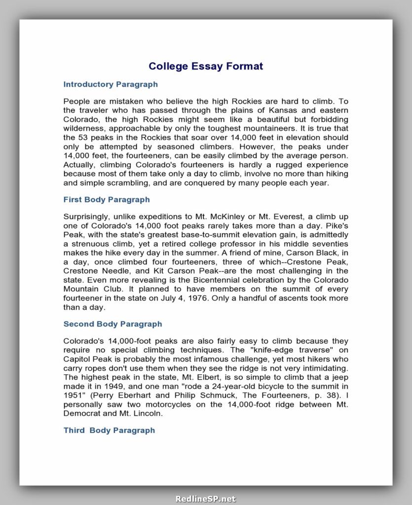 College Essay Examples 08
