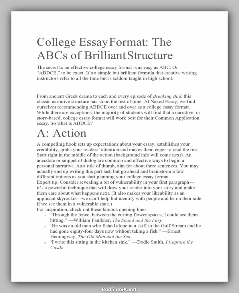 what is proper college essay format
