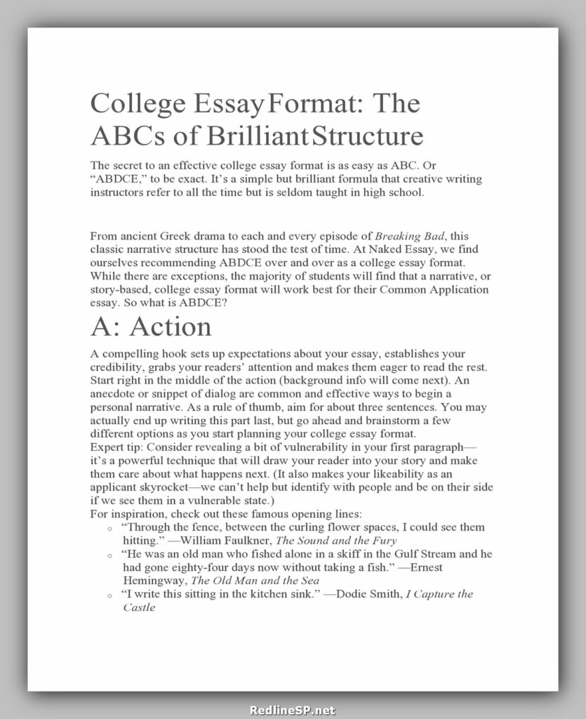 24 Greatest College Essay Examples RedlineSP