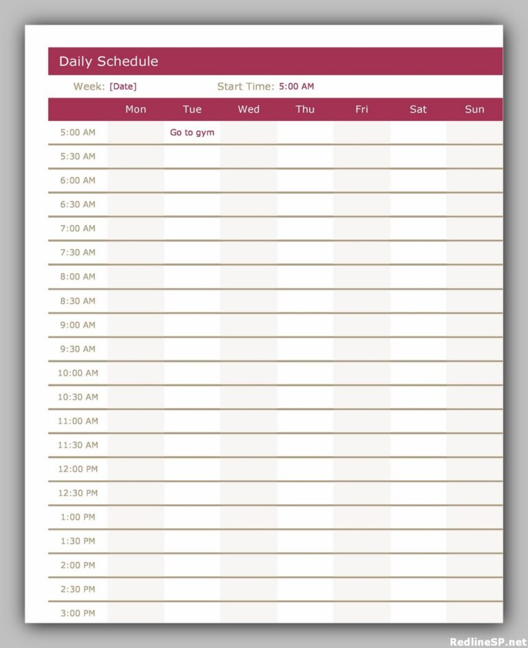 34 Printable Daily Planner Template Free - RedlineSP