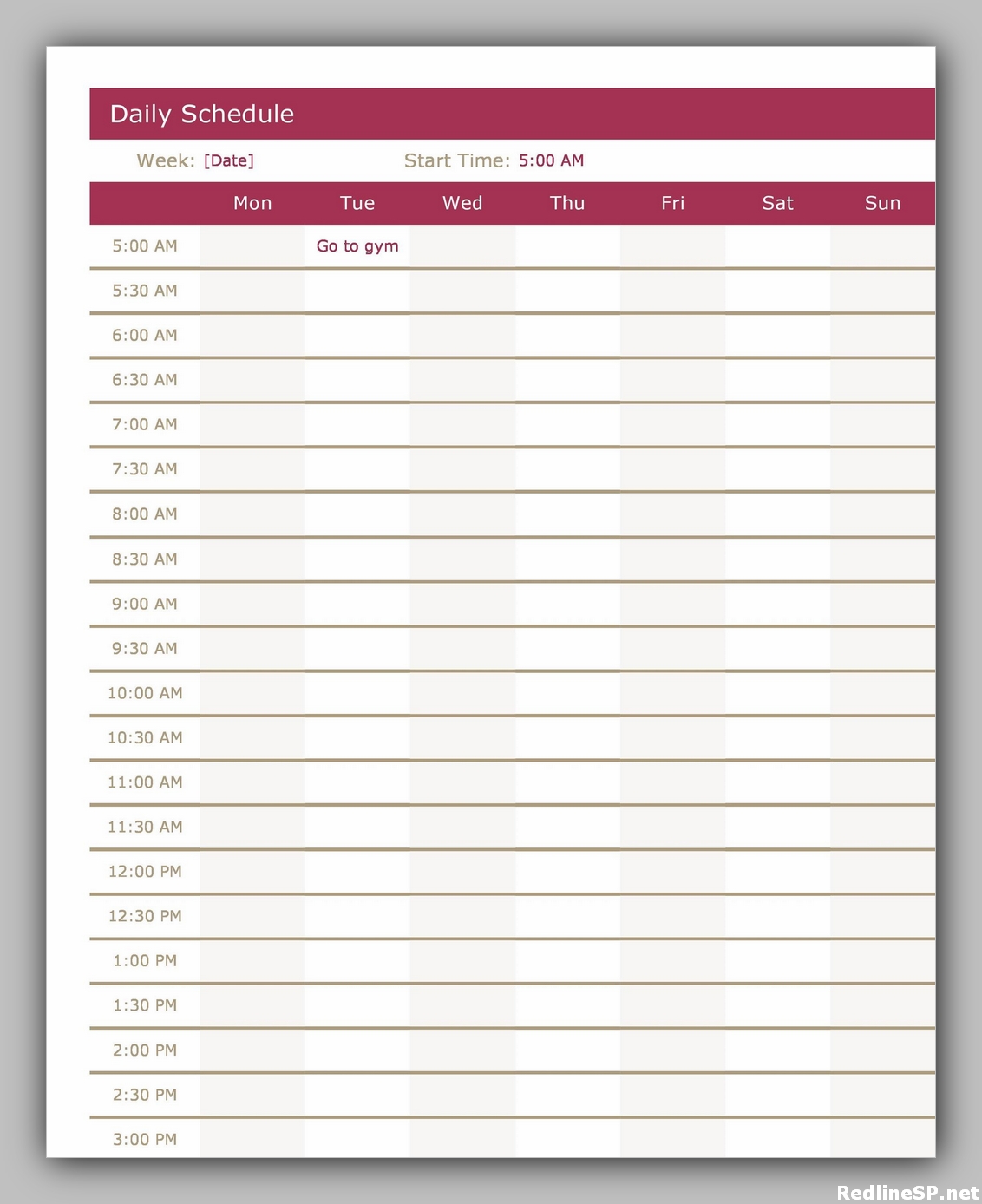 34 Printable Daily Planner Template Free – RedlineSP