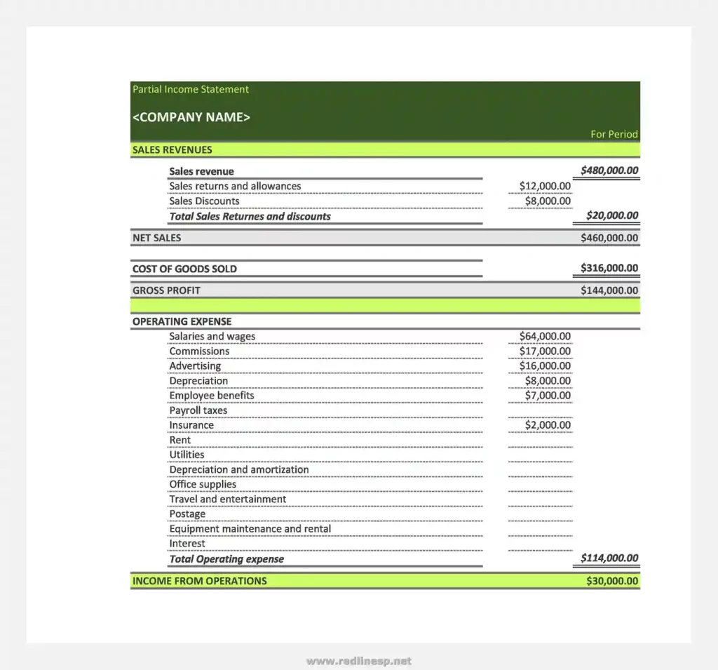Partial Income Statement Template