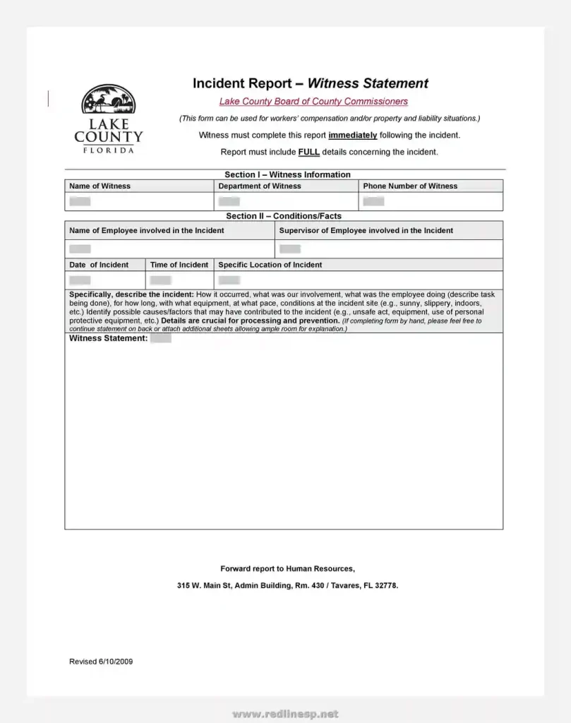 sample witness statement form 24